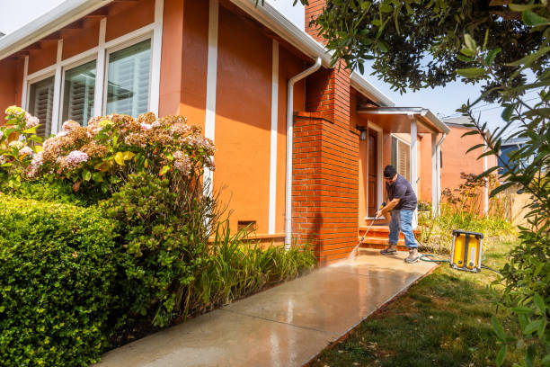 Best Roof Pressure Washing  in Georgetown, IL